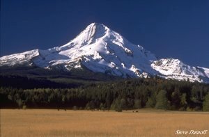 mt.hood.jpg